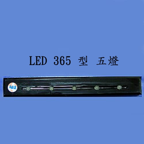 LED 彩燈 365型 五燈